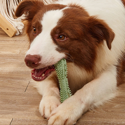 🦴 Dog Chew Toys & Brushes 🐕