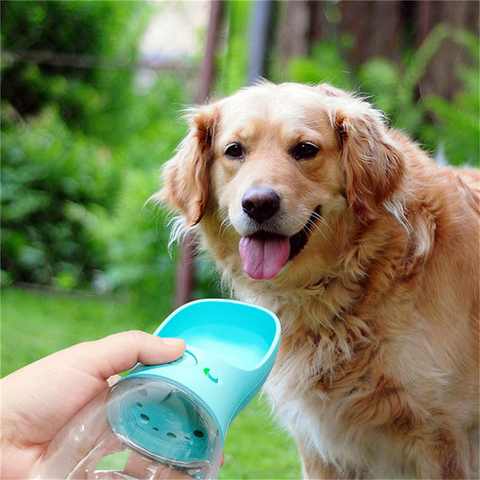 🌟 Dog Water Bottle 💧