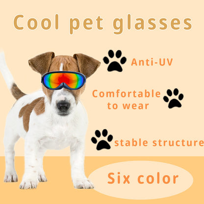 🐾 Dog Goggles - Stylish and Durable 🕶️