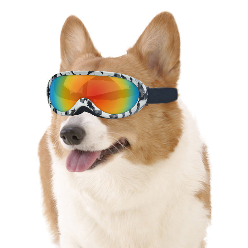 🐾 Dog Goggles - Stylish and Durable 🕶️